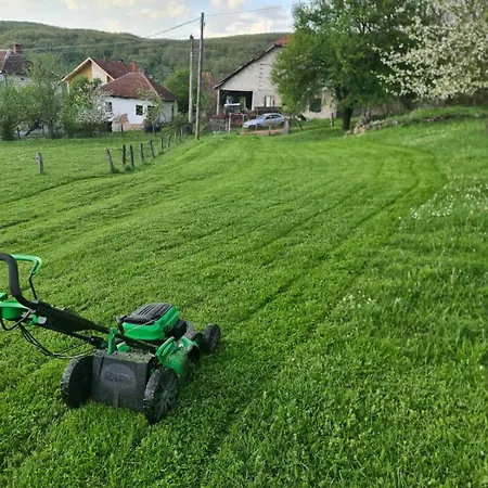 Apartament Garden Lux Grujic *