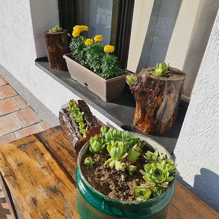 Apartament Garden Lux Grujic Krivi Vir